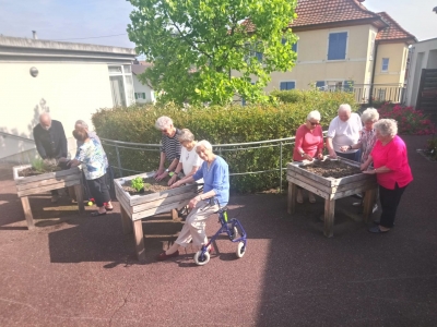 3_jardin3.JPG
