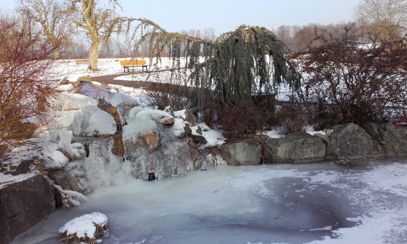 Bassin d'agrément en hiver
